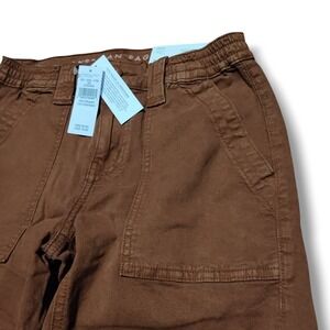 American Eagle Outfitters Brown Pants